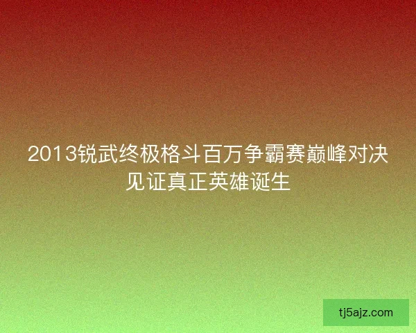 2013锐武终极格斗百万争霸赛巅峰对决见证真正英雄诞生