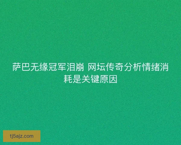 萨巴无缘冠军泪崩 网坛传奇分析情绪消耗是关键原因 萨巴无缘冠军泪崩 网坛传奇分析情绪消耗是关键原因