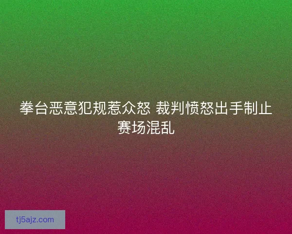 拳台恶意犯规惹众怒 裁判愤怒出手制止赛场混乱