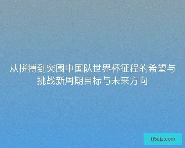 从拼搏到突围中国队世界杯征程的希望与挑战新周期目标与未来方向